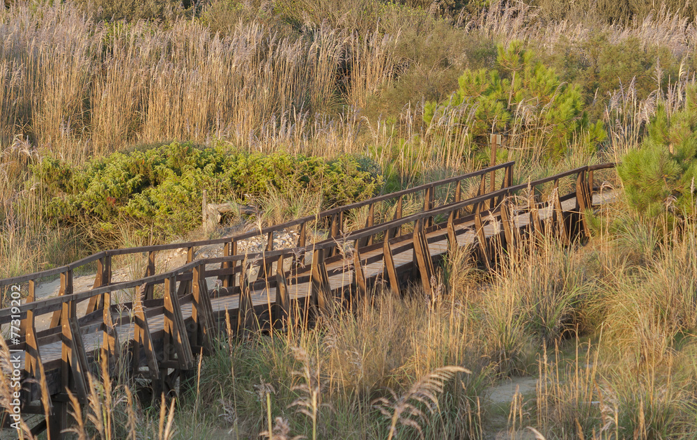 wooden panoramic bridge over the sand dunes of Tuscany wooden panoramic bridge over the sand dunes of Tuscany