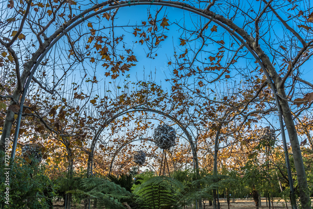 Fototapeta premium Natural Attraction at Parc del Centre del Poblenou