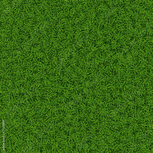Green grass seamless background texture, vector illustration.