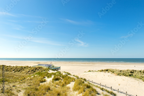 Beach Dutch North sea