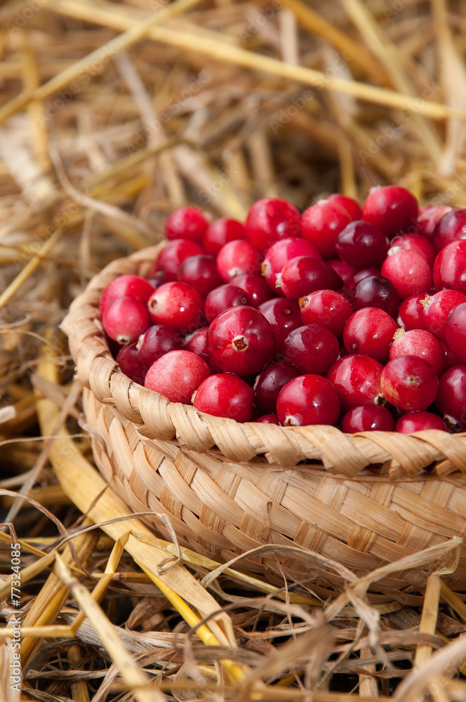 cranberries cranberries