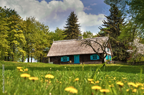 Folk cottage