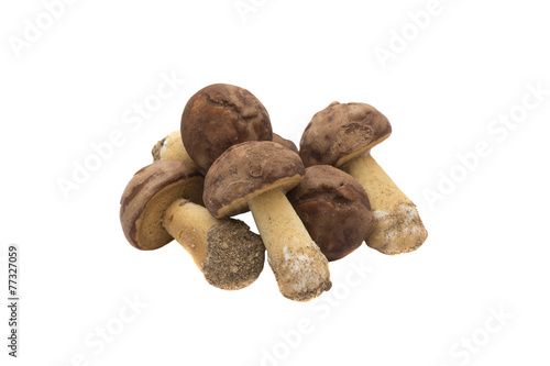 baking in form of mushrooms isolated on a white background