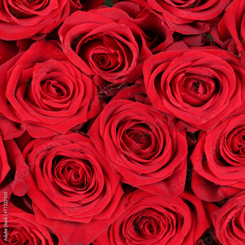 Hintergrund Rosen zum Valentinstag  Geburtstag oder Muttertag