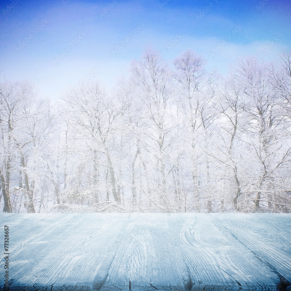 Obraz premium Winter path in snow