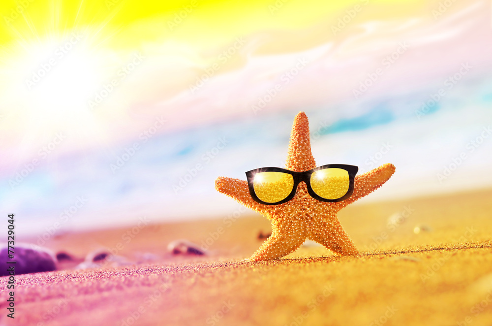 Beach, starfish in sunglasses on the seashore