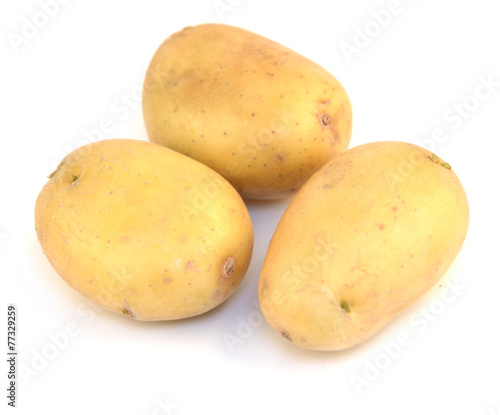 Kartoffeln photo