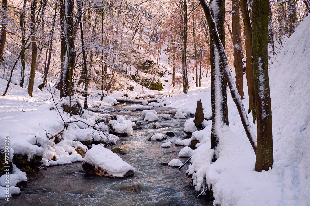 Fototapeta premium Winter creek