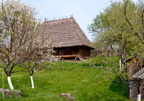 old wooden house photo