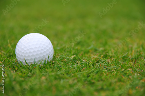 Golf ball on course
