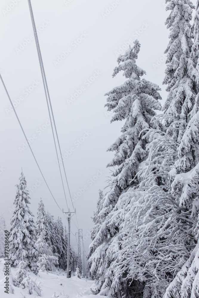 Obraz premium Deep winter