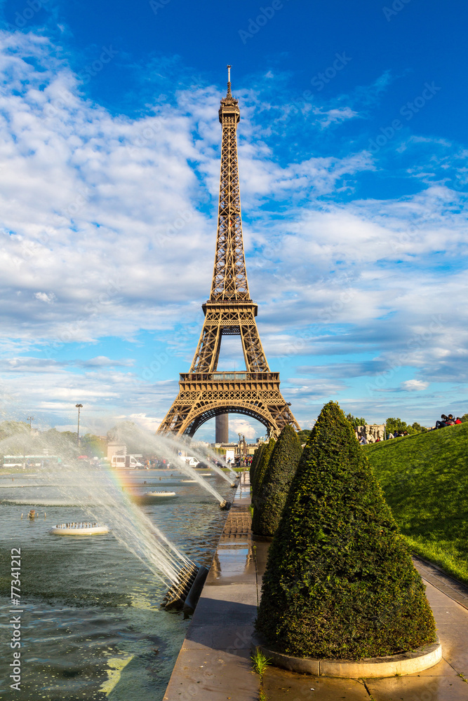 Fototapeta premium Eiffel Tower in Paris