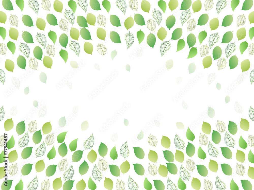 葉 新緑 背景 葉 新緑 背景