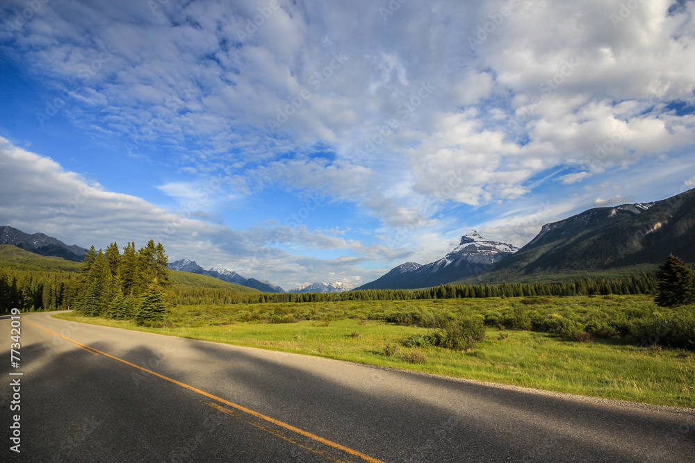 Naklejka premium Banff 13