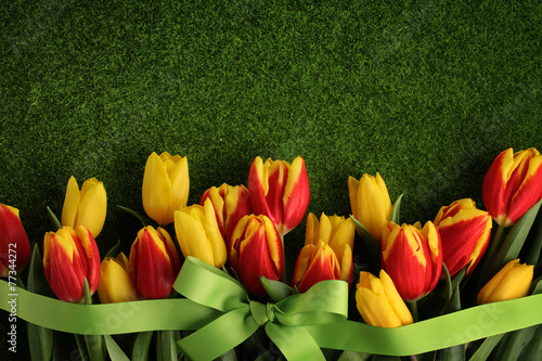 Tulips