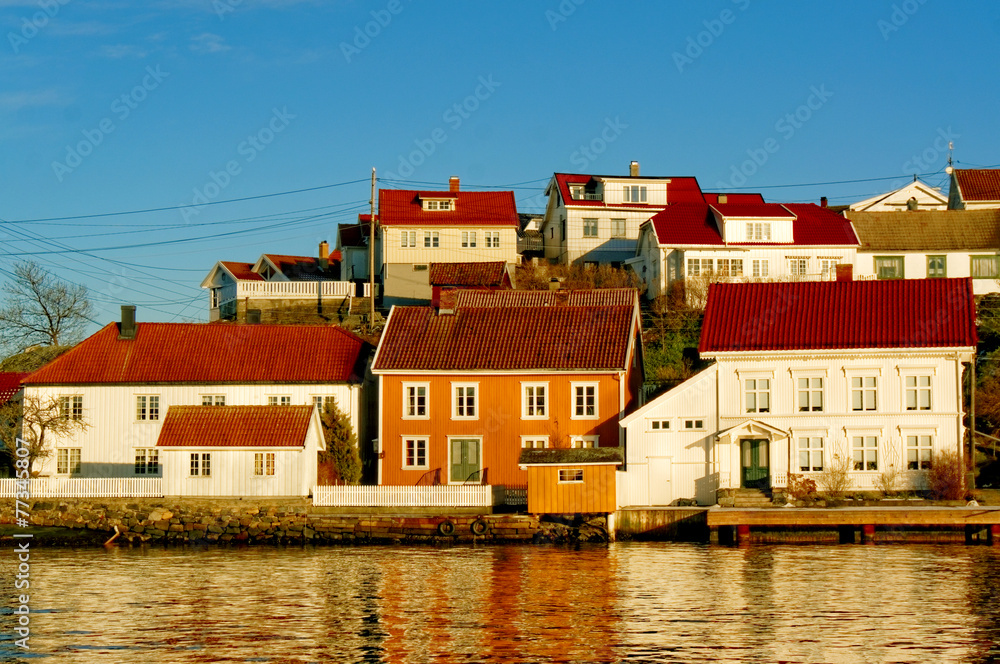 Obraz premium Colored and white houses port