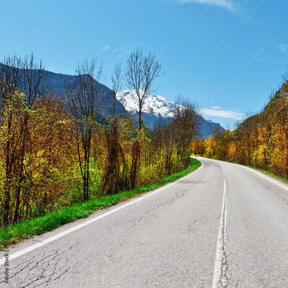 Fototapeta premium Asphalt Road