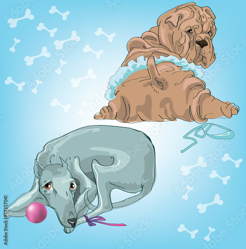 dogs2