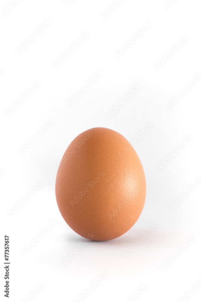 Egg Egg