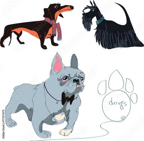 dogs