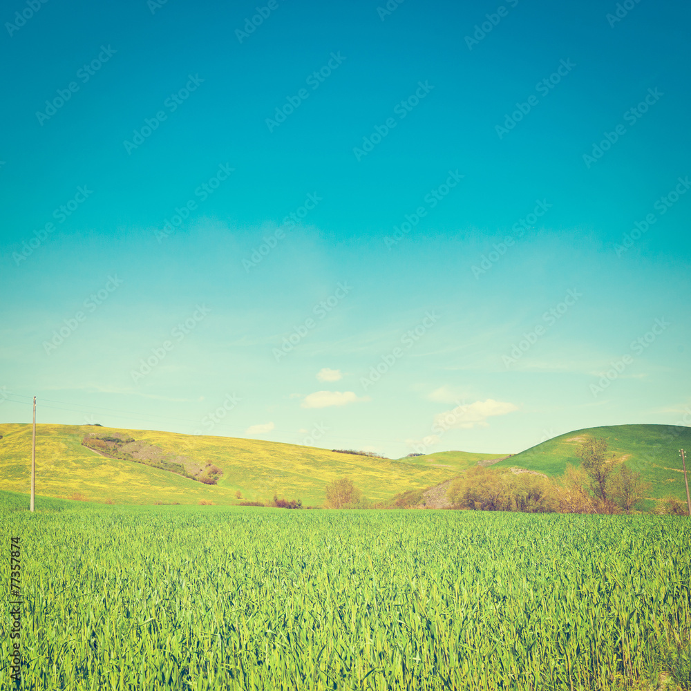 Fototapeta premium Sloping Meadows