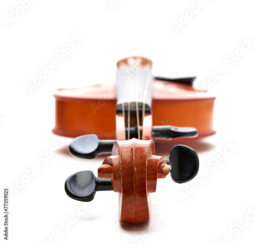 violin on white background