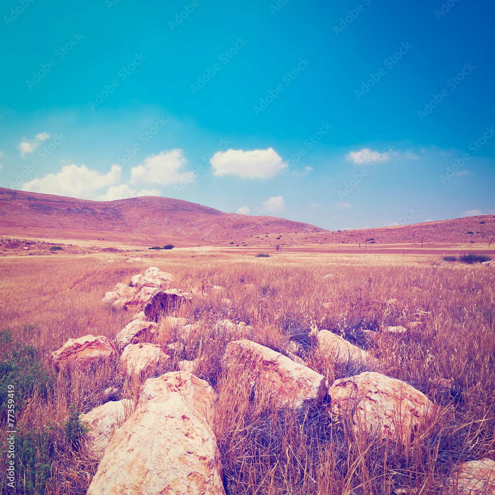 Obraz premium Samaria