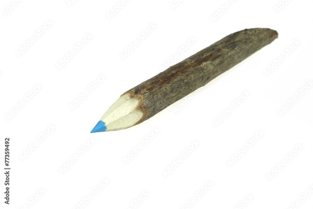 Big Wooden Wood Tree Bark Timber Twig Log Color Pencil Big Wooden Wood Tree Bark Timber Twig Log Color Pencil
