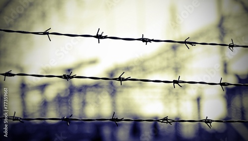 lines of barbed wire to demarcate the border during the war