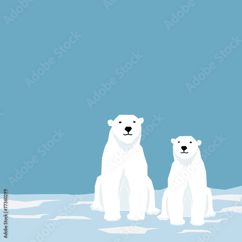 white bear at the north pole  vector illustration