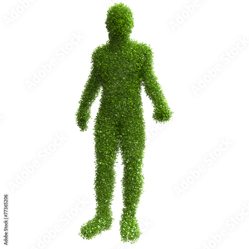 Silhouette of a man with green leaves