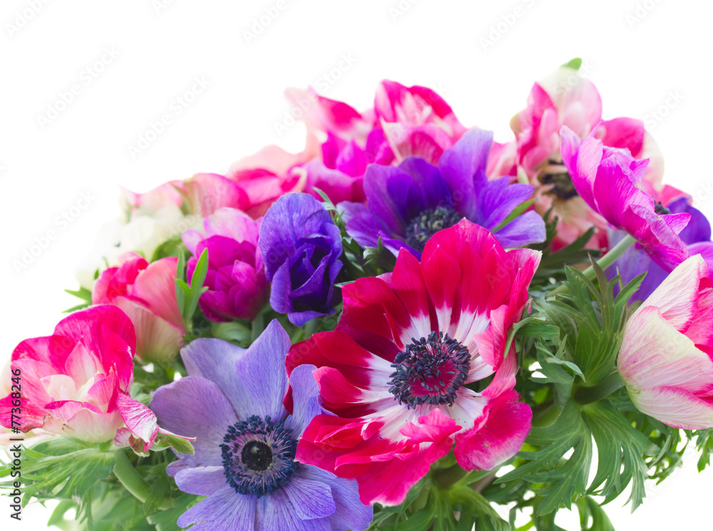 Fototapeta premium bouquet of anemone flowers