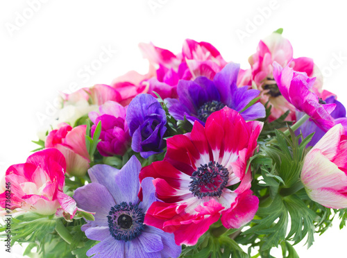 Valokuvatapetti bouquet of anemone flowers