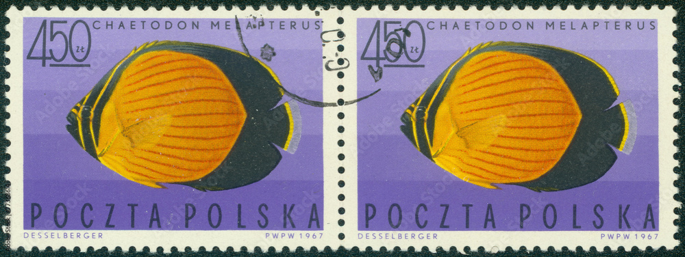 stamp printed in Poland shows Black-eye butterflyfish