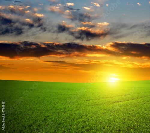 Fotografia Beautiful sunset over green field.
