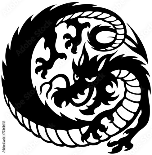 Photography Dragon logo vector