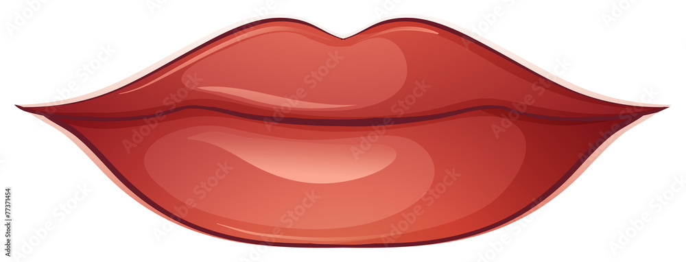 Lips Lips