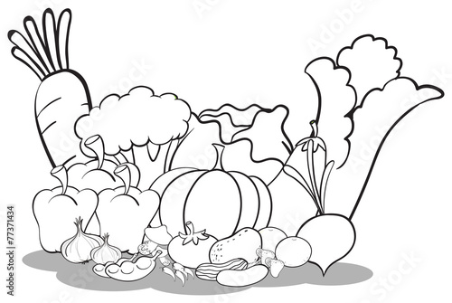 Different vegetables