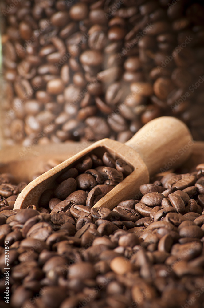 Fototapeta premium coffee beans closeup