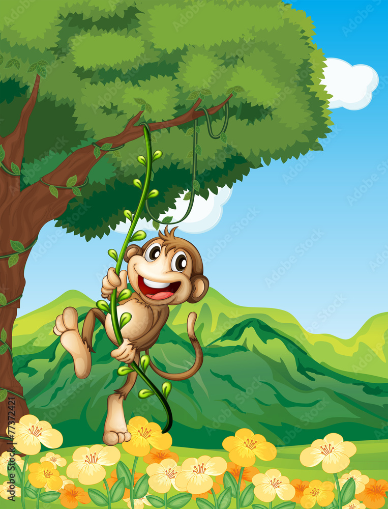 Naklejka premium Monkey