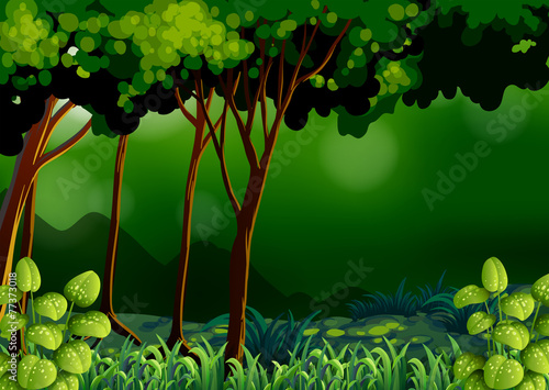 Green forest