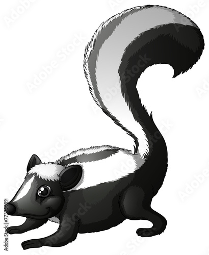 A Zorillo Patagon