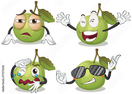 Guava