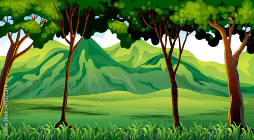 Trees and mountains