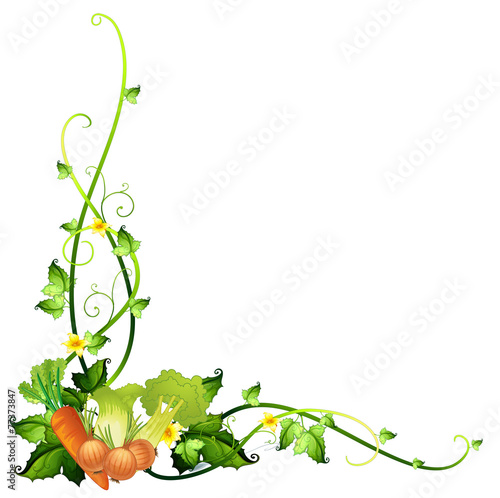 A vegetable border template