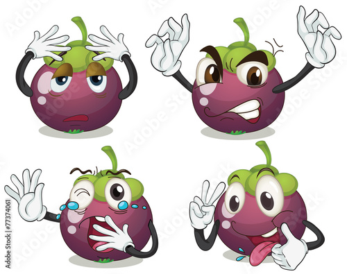 Mangosteen fruits