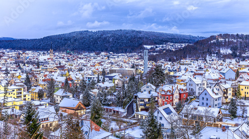 Tuttlingen Winter Panorama