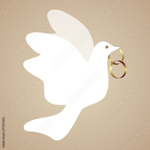 ehering,hochzeitsring,ring,heiratsring,taube,hochzeitstaube,ehe