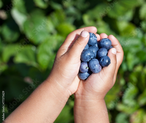 Blueberries is in the child's hands.