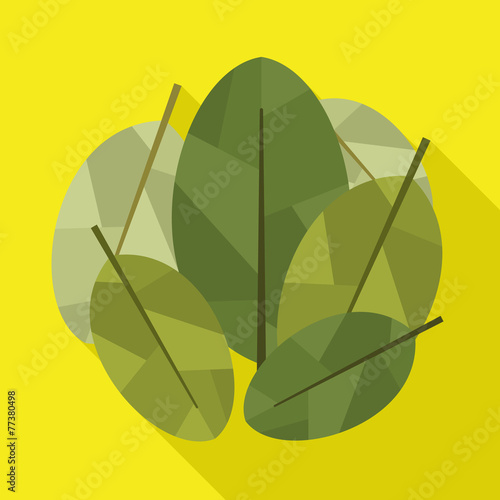 Coca leaves